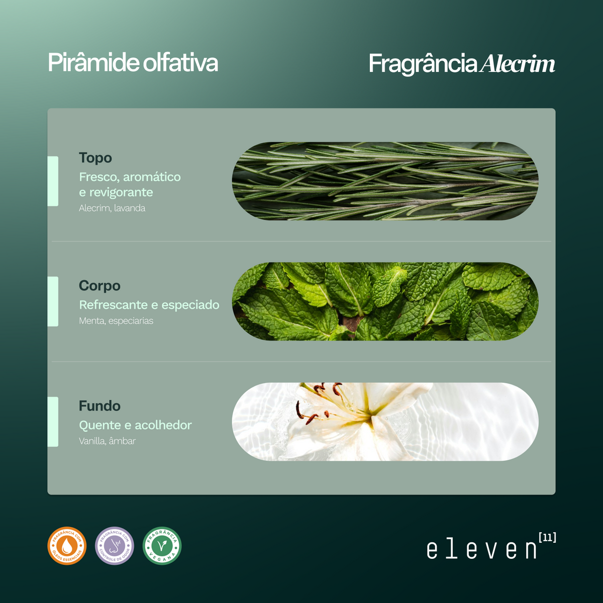 Eleven Alecrim — Refil 500mL