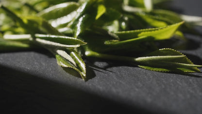 Eleven Chá Verde - Refil 500mL